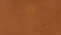 Saddle Leather, Nut